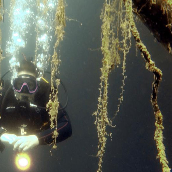 Buceo en Bacalar